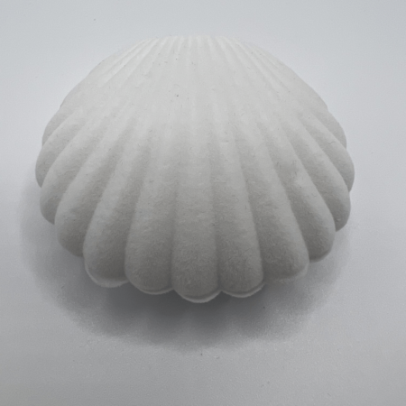 "Seashell" Creative Velvet Mini Jewelry Box - Shell White