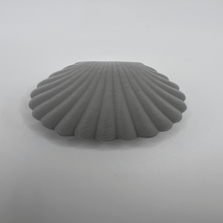 Seashell" Creative Velvet Mini Jewelry Box - Shell Grey