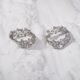 Stone Studded Silver Earing