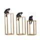 Luxury modern creative on height