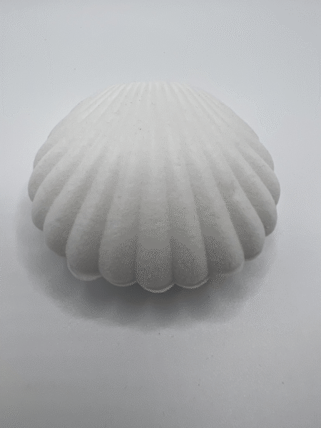 "Seashell" Creative Velvet Mini Jewelry Box - Shell White